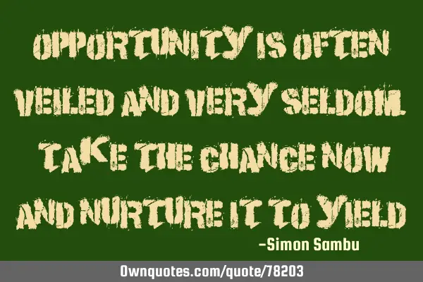 Opportunity is often veiled and very seldom. Take the chance now and nurture it to
