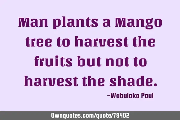 Man plants a Mango tree to harvest the fruits but not to harvest the