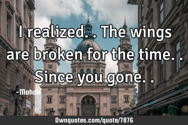I realized..the wings are broken for the time..since you