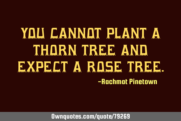 YOU CANNOT PLANT A THORN TREE AND EXPECT A ROSE TREE