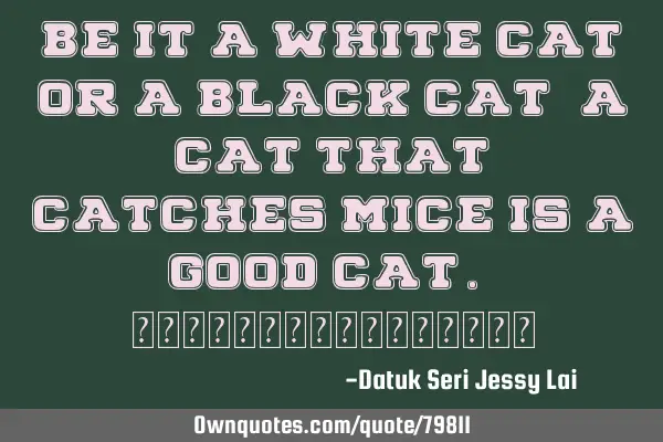 Be it a white cat or a black cat, a cat that catches mice is a good cat. 不管黑猫白猫会抓老