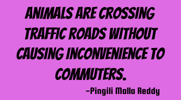Animals are crossing traffic roads without causing inconvenience to commuters.