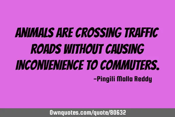 Animals are crossing traffic roads without causing inconvenience to