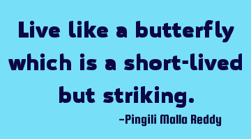 Live like a butterfly which is a short-lived but striking.