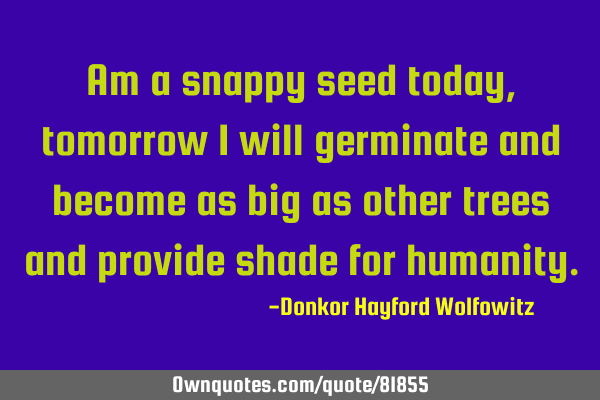 Am a snappy seed today,tomorrow I will germinate and become as big as other trees and provide shade