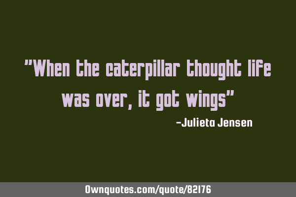 "When the caterpillar thought life was over, it got wings"