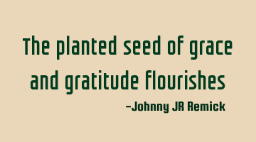The planted seed of grace and gratitude flourishes