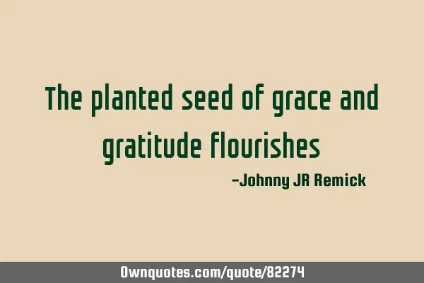 The planted seed of grace and gratitude