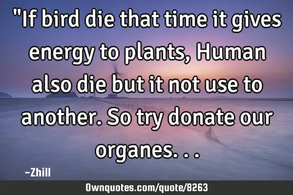 "If bird die that time it gives energy to plants, Human also die but it not use to another. So try