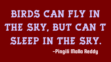 Birds can fly in the sky, but can't sleep in the sky.