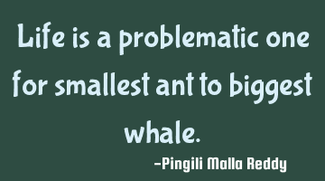 Life is a problematic one for smallest ant to biggest whale.