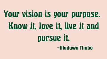 Your vision is your purpose. Know it, love it, live it and pursue it.