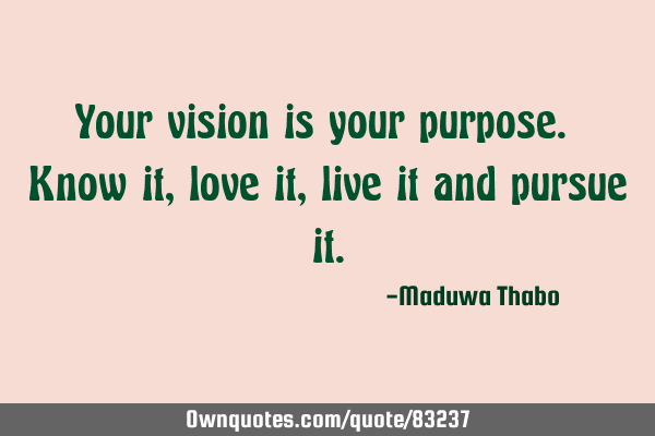 Your vision is your purpose. Know it, love it, live it and pursue