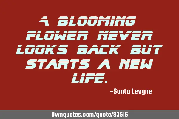 A blooming flower never looks back but starts a new