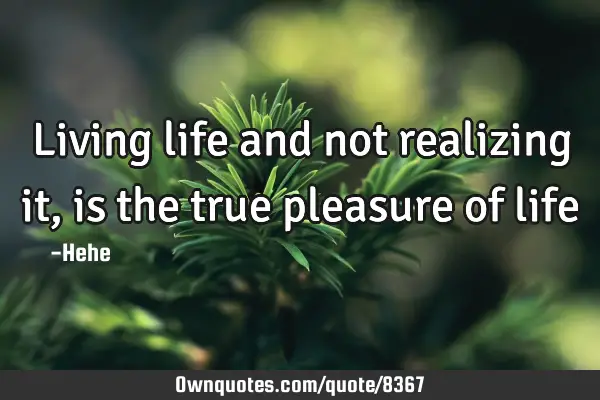 Living life and not realizing it, is the true pleasure of