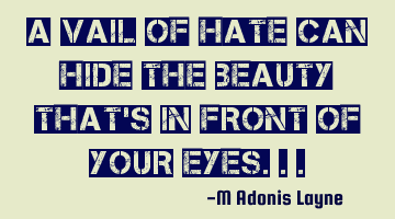 A Vail of hate can hide the beauty that's in front of your eyes...