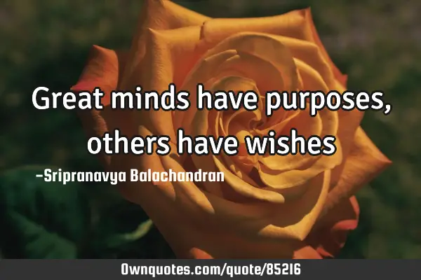 Great minds have purposes, others have