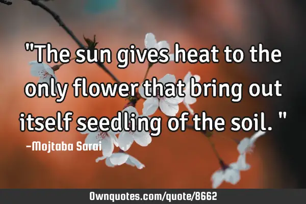"The sun gives heat to the only flower that bring out itself seedling of the soil."