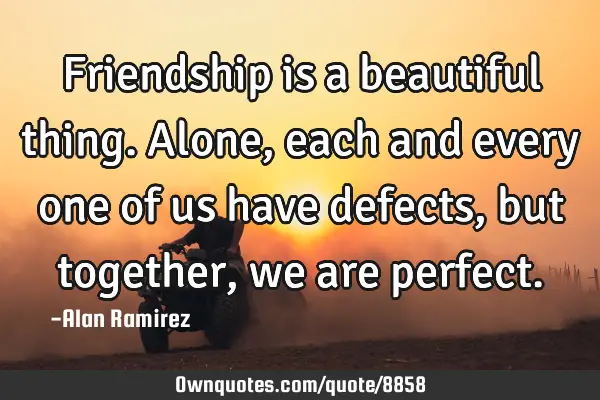Friendship is a beautiful thing. Alone, each and every one of us have defects, but together, we are