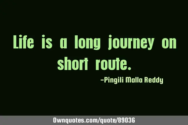 Life is a long journey on short