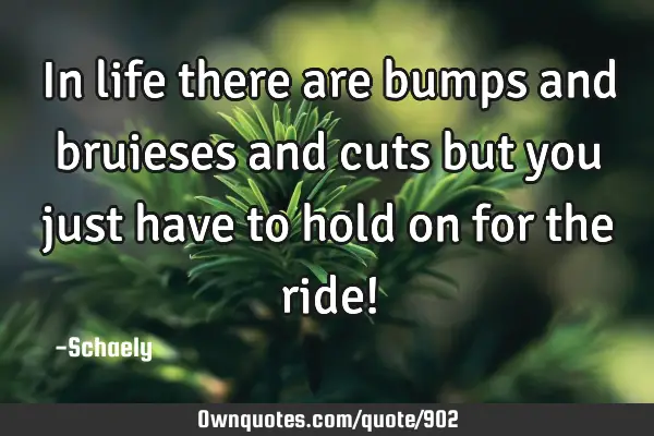 In life there are bumps and bruieses and cuts but you just have to hold on for the ride!