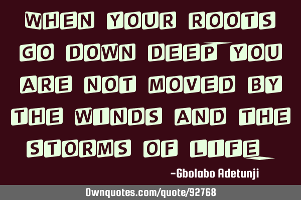 When your roots go down deep, you are not moved by the winds and the storms of