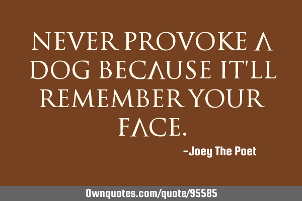 Never Provoke A Dog Because It