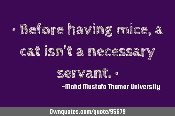 • Before having mice, a cat isn’t a necessary servant.‎