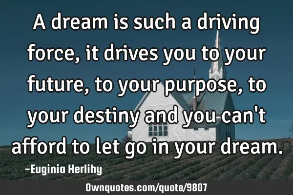 A dream is such a driving force, it drives you to your future, to your purpose, to your destiny and