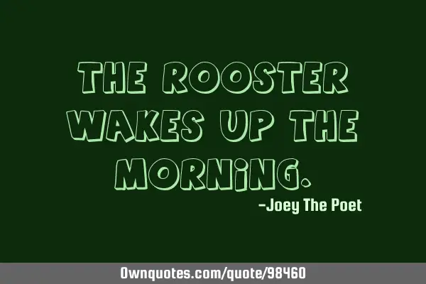 The Rooster Wakes Up The M