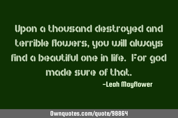 Upon a thousand destroyed and terrible flowers, you will always find a beautiful one in life. For