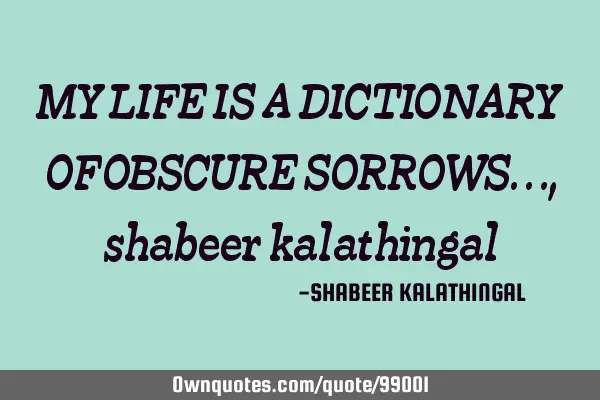MY LIFE IS A DICTIONARY OF OBSCURE SORROWS...,shabeer