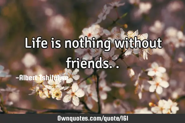 Life is nothing without