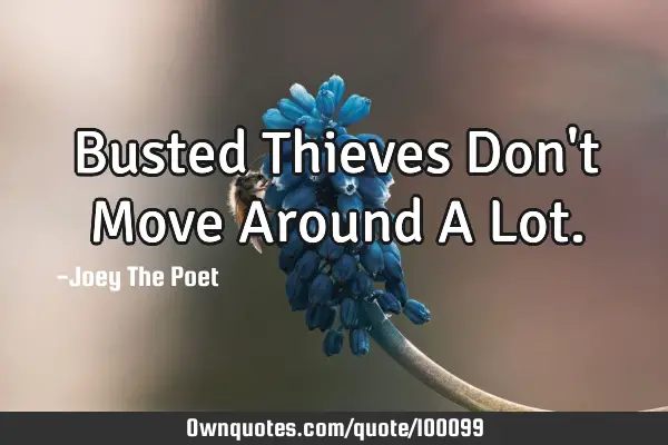 Busted Thieves Don