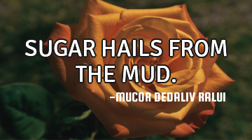 SUGAR HAILS FROM THE MUD.