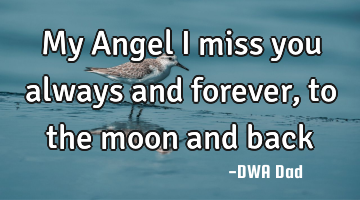 My Angel I miss you always and forever , to the moon and back