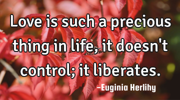 Love is such a precious thing in life, it doesn