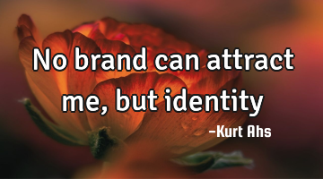 No brand can attract me, but identity