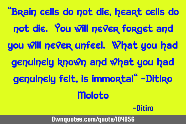 "Brain cells do not die, heart cells do not die. You will never forget and you will never unfeel. W