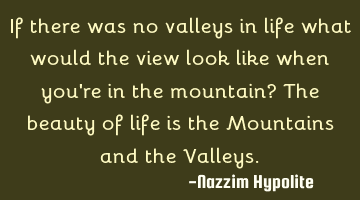 If there were no valleys in life what would the view look like when you