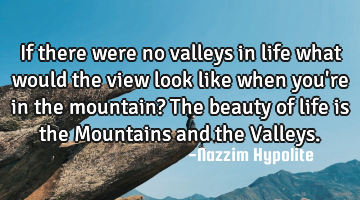 If there were no valleys in life what would the view look like when you