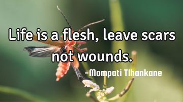 Life is a flesh, leave scars not wounds.