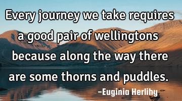 Every journey we take requires a good pair of wellingtons because along the way there are some