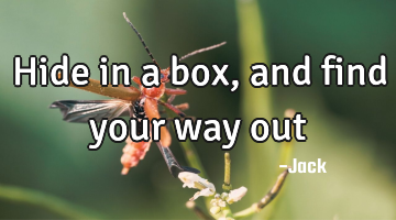 Hide in a box, and find your way out