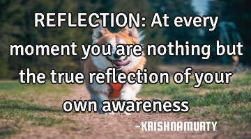 REFLECTION: At every moment you are nothing but the true reflection of your own awareness