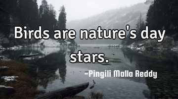 Birds are nature