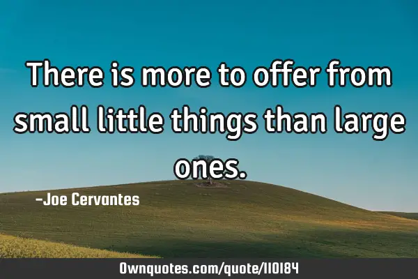 There is more to offer from small little things than large