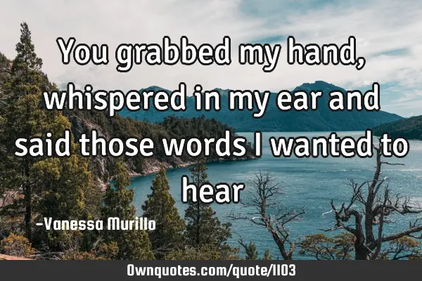 You grabbed my hand, whispered in my ear and said those words I wanted to