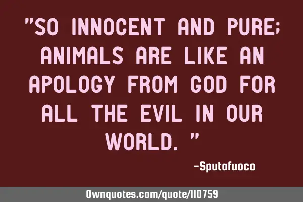 "So innocent and pure; animals are like an apology from God for all the evil in our world."