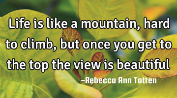 Life is like a mountain, hard to climb, but once you get to the top the view is beautiful